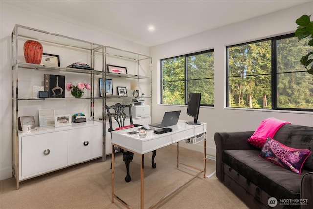 7826 115th Pl NE, Kirkland, WA 98033 - office area featuring light colored carpet