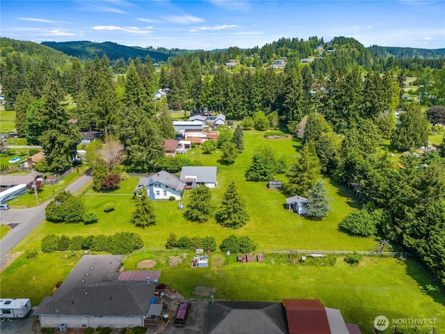 2520 Eureka Ave, Centralia, WA 98531 - aerial view of a heavily wooded area