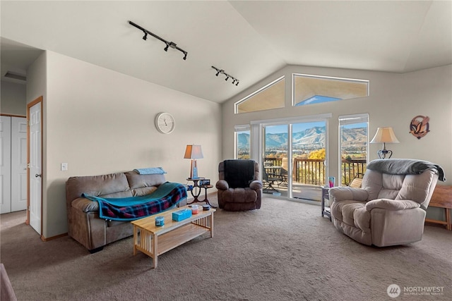 2599 NW Columbia Ave, East Wenatchee, WA 98802 - living room with rail lighting, carpet, and high vaulted ceiling