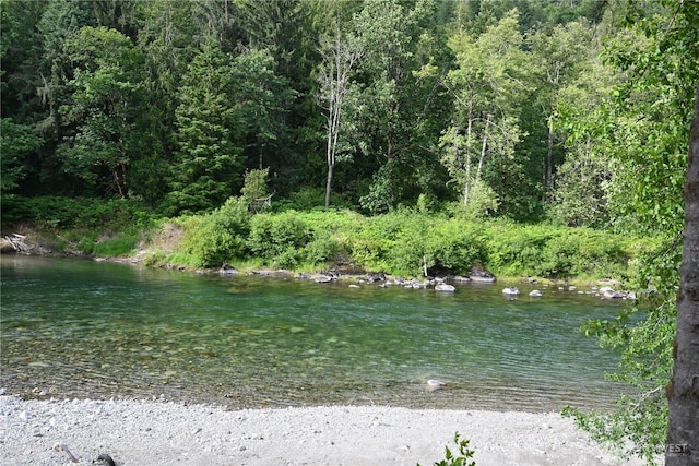53009 S Riverside Rd, Gold Bar, WA 98251 - water view with a forest