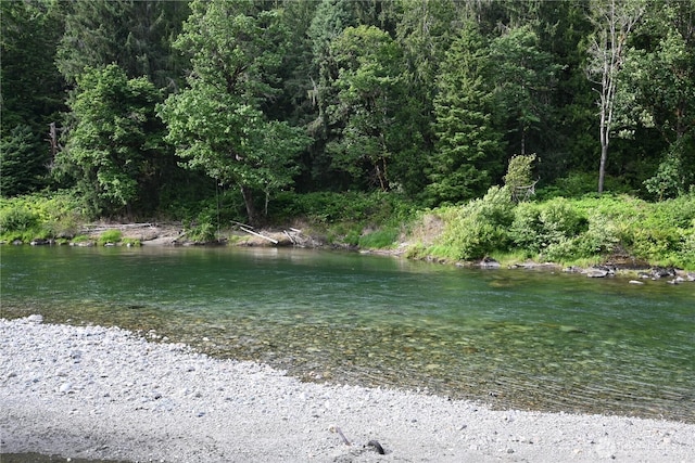 53009 S Riverside Rd, Gold Bar, WA 98251 - water view featuring a forest