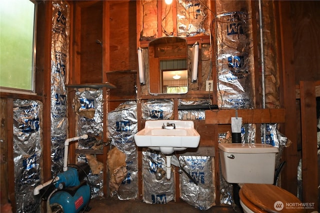 53009 S Riverside Rd, Gold Bar, WA 98251 - bathroom featuring toilet and a sink