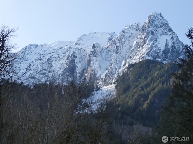 53009 S Riverside Rd, Gold Bar, WA 98251 - view of mountain background with a forest