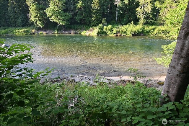 53009 S Riverside Rd, Gold Bar, WA 98251 - water view featuring a heavily wooded area