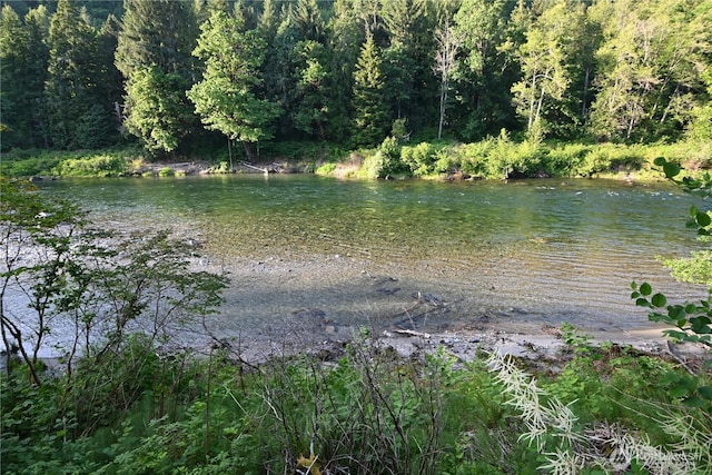 53009 S Riverside Rd, Gold Bar, WA 98251 - water view with a heavily wooded area