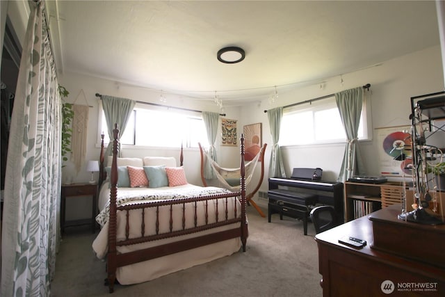 251 N 2nd St N, Buckley, WA 98321 - bedroom with multiple windows and carpet flooring