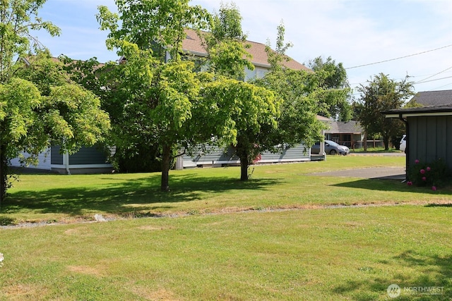 251 N 2nd St N, Buckley, WA 98321 - view of green lawn