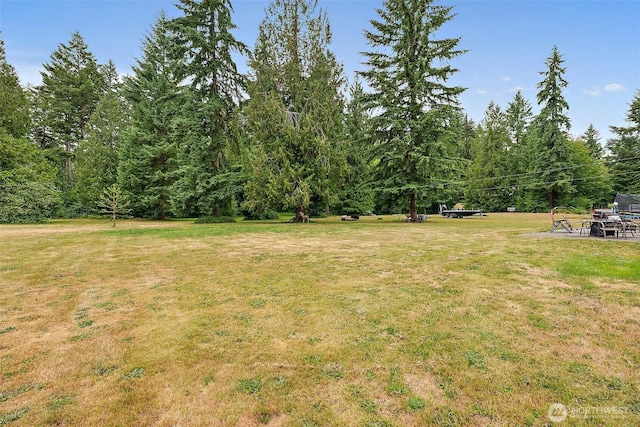 33320 27th Ave E, Roy, WA 98580 - view of grassy yard with a wooded view