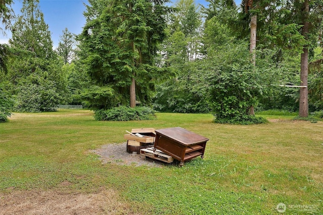 33320 27th Ave E, Roy, WA 98580 - view of grassy yard