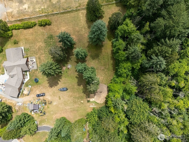 33320 27th Ave E, Roy, WA 98580 - bird's eye view