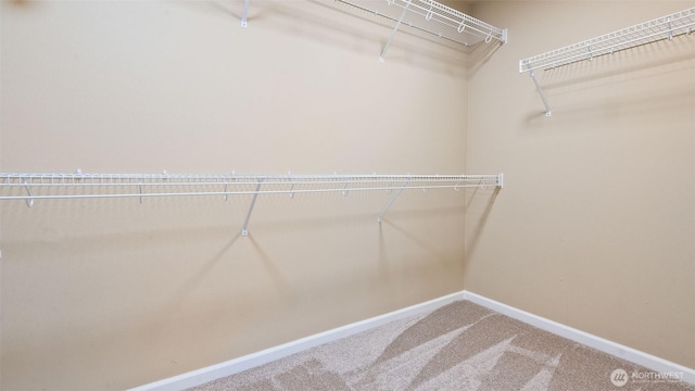 4597 Rutherford Cir SW, Port Orchard, WA 98367 - spacious closet with carpet flooring