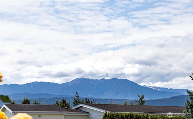 629 N 7th Ave, Sequim, WA 98382 - mountain view