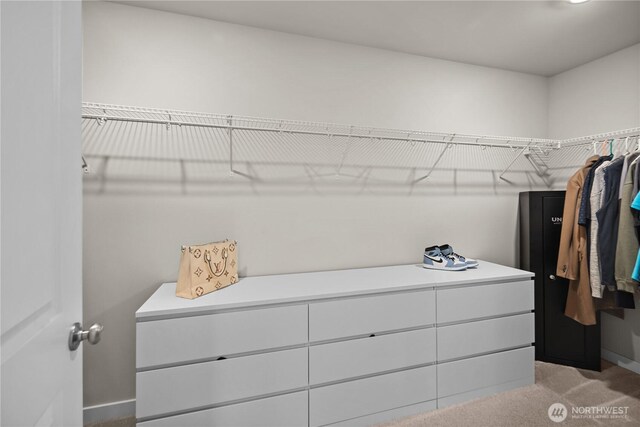 4934 Oceania St, Gig Harbor, WA 98332 - photo 25