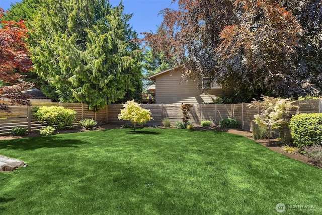 16011 Sunnyside Ave N, Shoreline, WA 98133 - view of yard