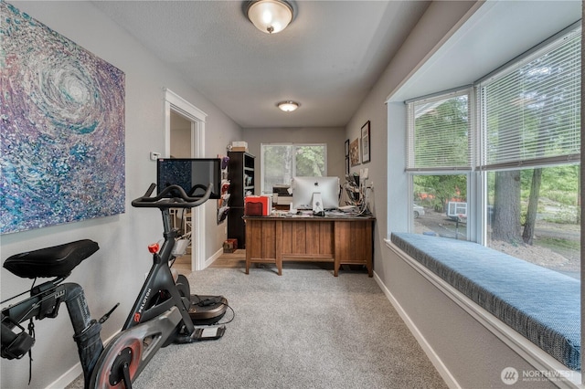 18043 Noll Rd NE, Poulsbo, WA 98370 - photo 28