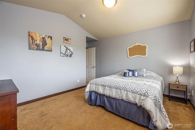 3510 Becky Pl, Mount Vernon, WA 98274 - photo 33