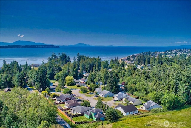 8391 Richmond Park Rd, Birch Bay, WA 98230 - bird's eye view of a nearby body of water