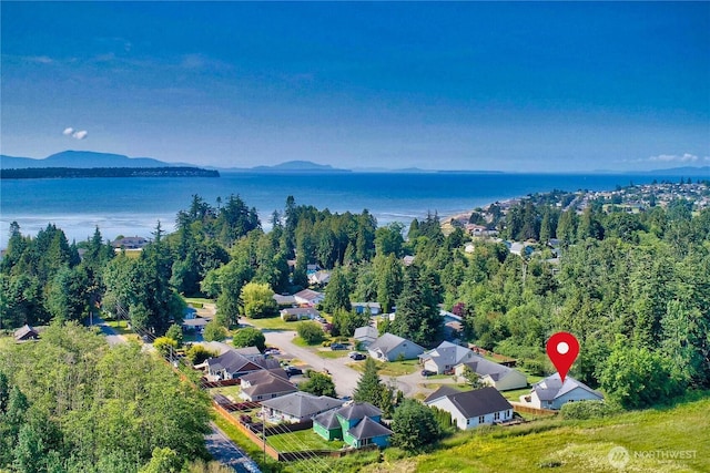 8391 Richmond Park Rd, Birch Bay, WA 98230 - bird's eye view of a water and mountain view