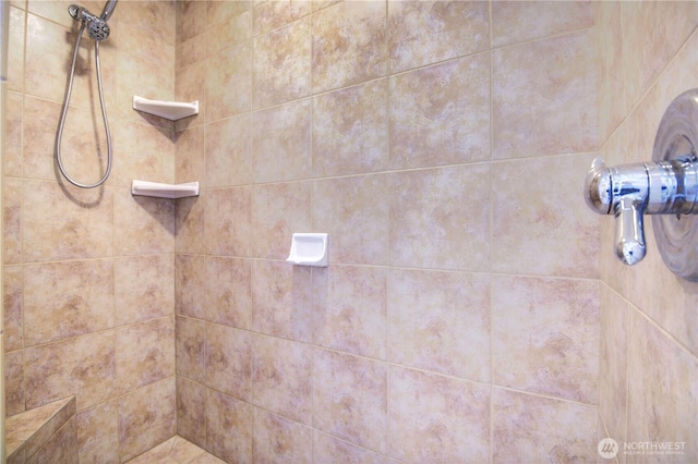 8391 Richmond Park Rd, Birch Bay, WA 98230 - bathroom with tiled shower