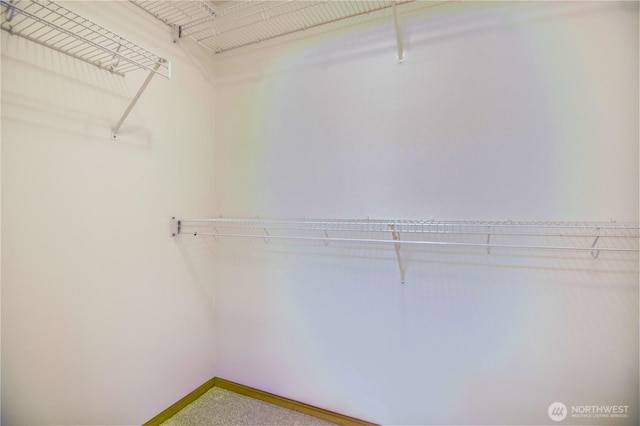 8391 Richmond Park Rd, Birch Bay, WA 98230 - walk in closet with carpet