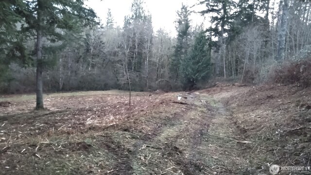 6123 139th Ln SW, Rochester, WA 98579 - photo 1