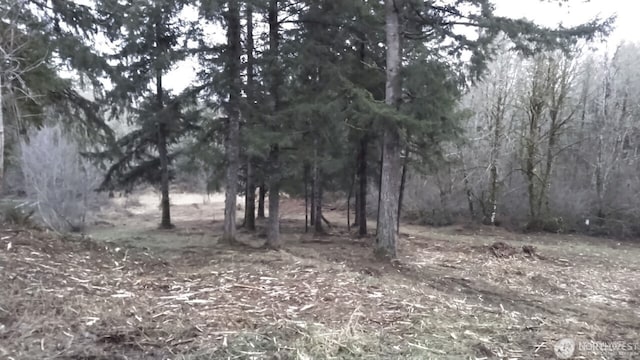 6123 139th Ln SW, Rochester, WA 98579 - photo 5
