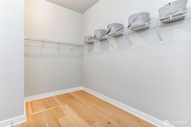 4561 Albatross St, Port Townsend, WA 98368 - spacious closet with light wood finished floors