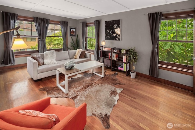 408 Bellevue Ave E Unit 306, Seattle, WA 98102 - living room with baseboards and wood-type flooring