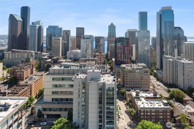 1101 Seneca St Unit 1702, Seattle, WA 98101 - photo 25