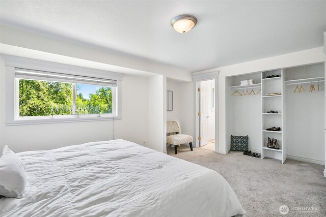 1211 121st Ave SE, Lake Stevens, WA 98258 - photo 11