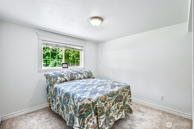 1211 121st Ave SE, Lake Stevens, WA 98258 - photo 13