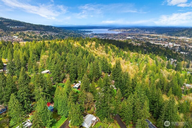 475 Mt Hood Dr SW, Issaquah, WA 98027 - photo 31