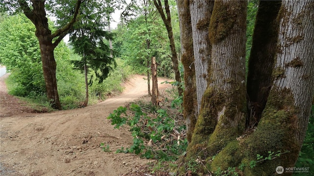 123 NE Tahuya River Rd, Belfair, WA 98528