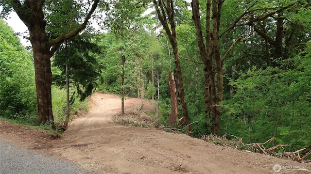 123 NE Tahuya River Rd, Belfair, WA 98528