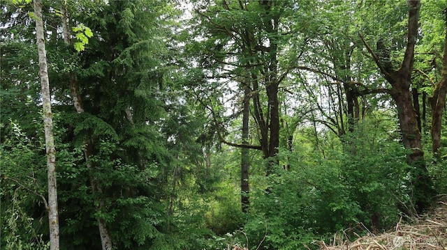 123 NE Tahuya River Rd, Belfair, WA 98528