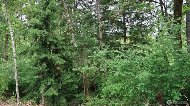 123 NE Tahuya River Rd, Belfair, WA 98528
