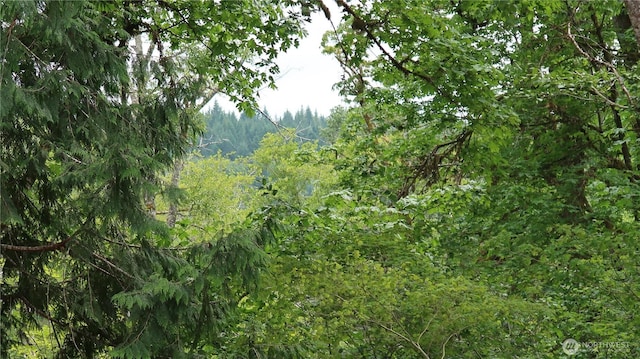 123 NE Tahuya River Rd, Belfair, WA 98528