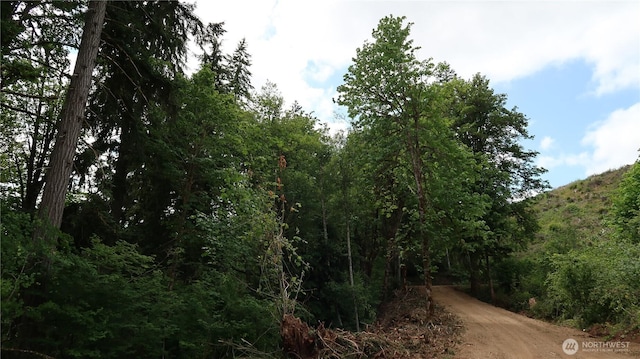 123 NE Tahuya River Rd, Belfair, WA 98528