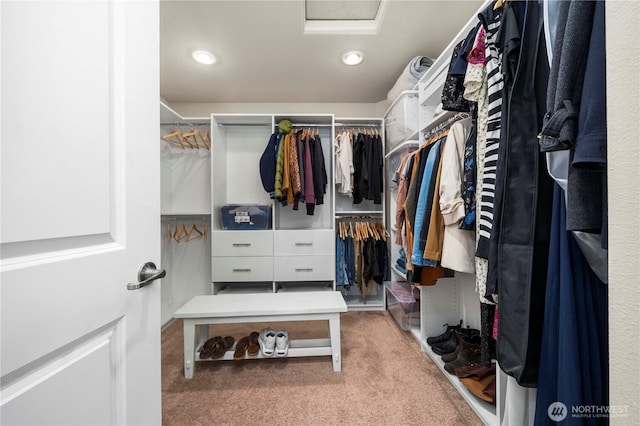 4410 Sentinel Ct, Gig Harbor, WA 98332 - walk in closet featuring carpet floors and attic access