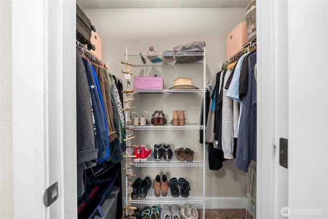 4410 Sentinel Ct, Gig Harbor, WA 98332 - view of walk in closet