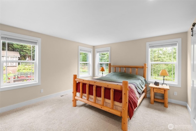 8012 105th Ave SW, Olympia, WA 98512 - bedroom featuring multiple windows and carpet flooring