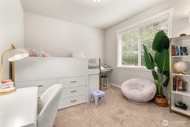 4716 Center Ln NE, Olympia, WA 98516 - photo 21