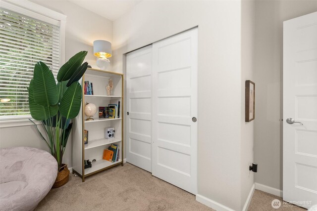 4716 Center Ln NE, Olympia, WA 98516 - photo 22