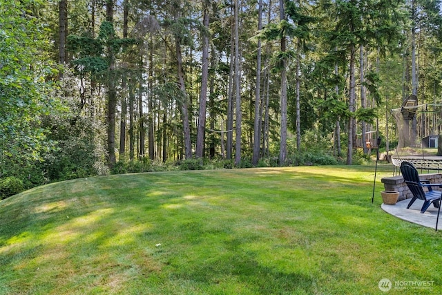 4716 Center Ln NE, Olympia, WA 98516 - photo 35