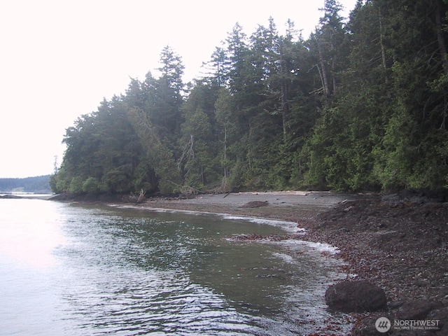 0 Newton Beach Rd, Shaw Island, WA 98286