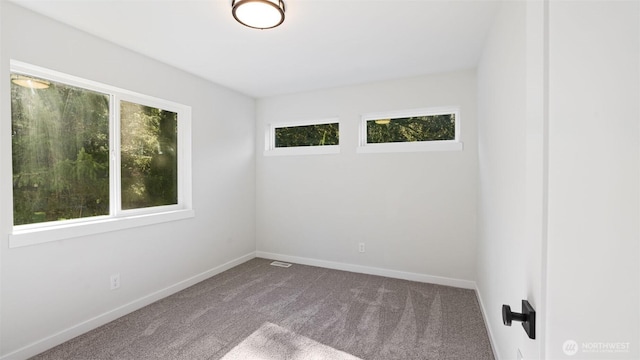 11006 325th Ave SE, Issaquah, WA 98027 - unfurnished room featuring healthy amount of natural light and carpet floors