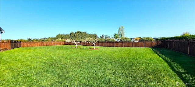 51 Sheree Ln, Sequim, WA 98382 - view of fenced backyard