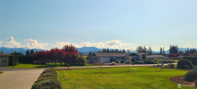 51 Sheree Ln, Sequim, WA 98382 - view of home's community with a lawn, curved driveway, and a residential view