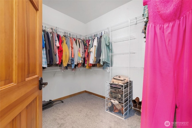 15949 159th Ln SE, Yelm, WA 98597 - walk in closet with carpet floors