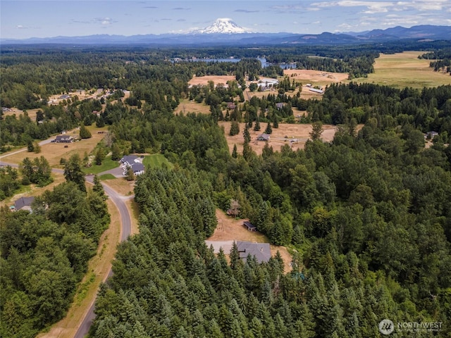 15949 159th Ln SE, Yelm, WA 98597 - aerial overview of property's location with a heavily wooded area and a mountain backdrop